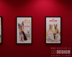 phoca_thumb_l_royal_View02