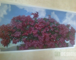 phoca_thumb_l_risnsf24-1