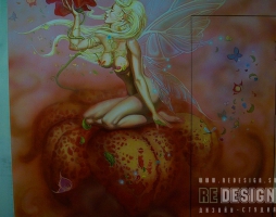 phoca_thumb_l_risnsf34-1