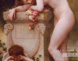 phoca_thumb_l_risnsf35-1